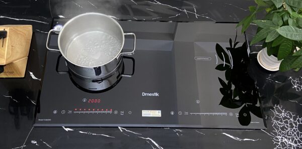 Hình ảnh thực tế BẾP TỪ ĐÔI D'MESTIK TL922 DKI