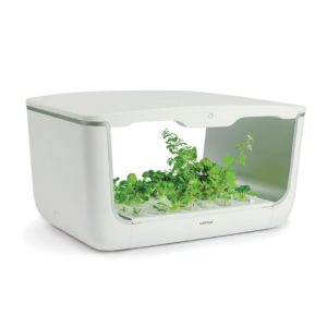 Hộp trồng cây EasyGrow Home Box HAFELE H-BOX 539.76.990