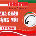 Khuyến Mãi Mua Chậu Tặng Vòi  Carysil Tháng 10 Năm 2020