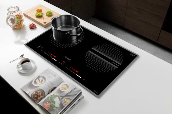 Bếp từ đôi D'mestik ML888 DKI