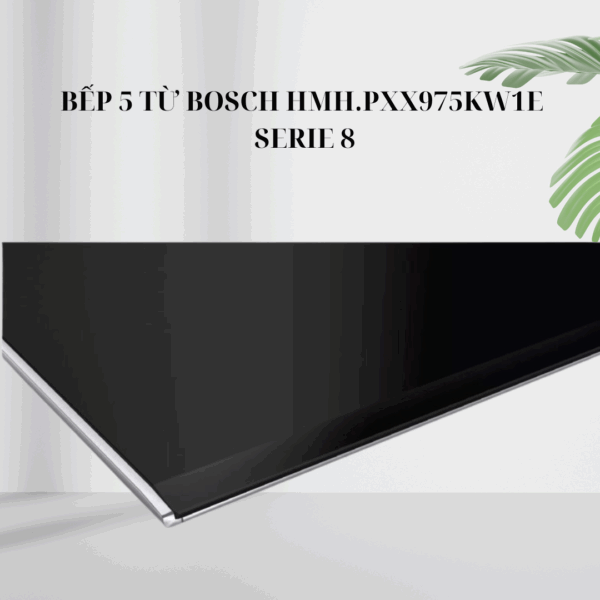 Mặt kính bếp từ Bosch HMH.PXX975KW1E