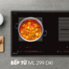 Bếp từ D'mestik ML299 DKI